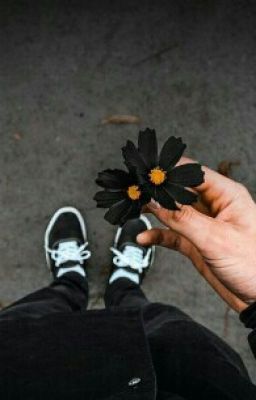 ♚Любовь Вампира и Оборотня♔