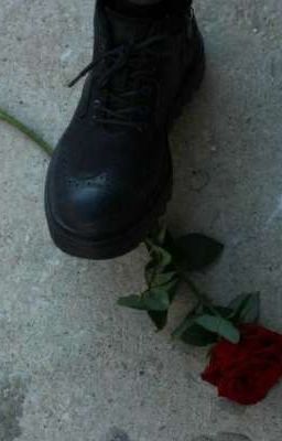 Первый Взгляд 