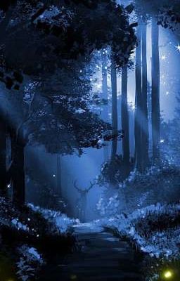 По разные стороны баррикад