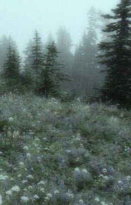 Кладбище всех чувств людских