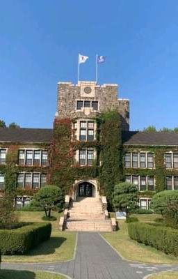 Наша любовь в университете 