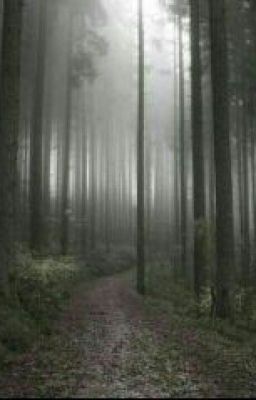 Кто не спрятался, я не виноват!