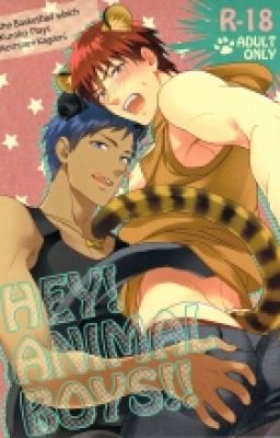 Kuroko no Basket : Приключение Альфы и Омеги.