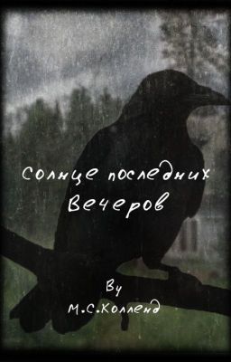 Солнце последних вечеров
