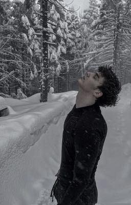 я снова спас тебя,принцесса. | темное рождество