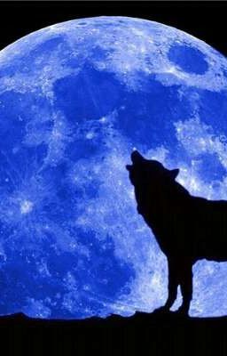 Моя малышка