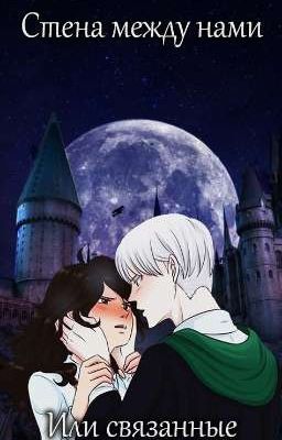 Стена между нами или Связанные 