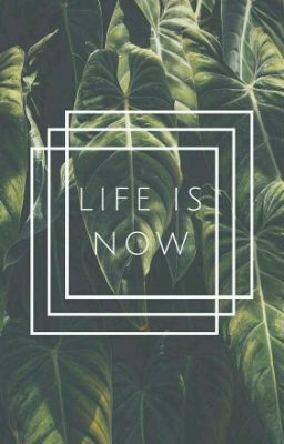 Что почитать на WATTPAD