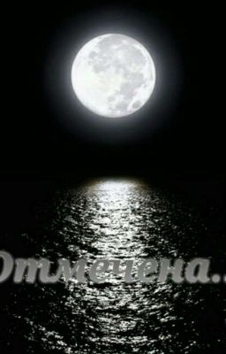 Отмечена ...