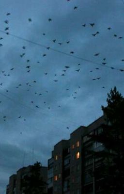 В погоне за историей.