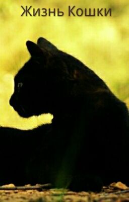 ←↑Жизнь Кошки↑→ #Wattys2016