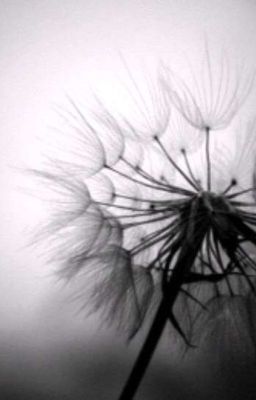 Комната Страха