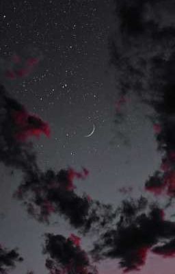 новая жизнь ~Дима Матвеев~