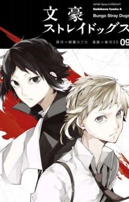 Полёт в ночи