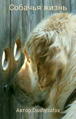 Собачья Жизнь [ЗАВЕРШЕНА] 