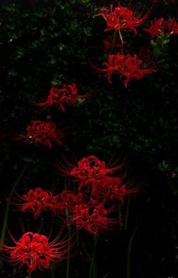 Эта встреча была ошибкой 