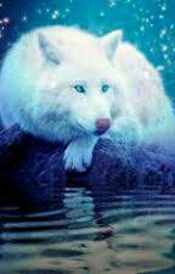 ♡Кровавое полнолуние♡