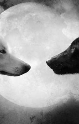 Мы Же Враги? 