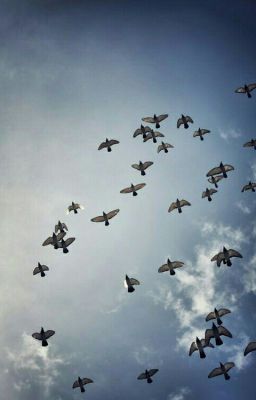 Энциклопедия относительного и абсолютного знания