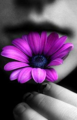 Без вины винаватая