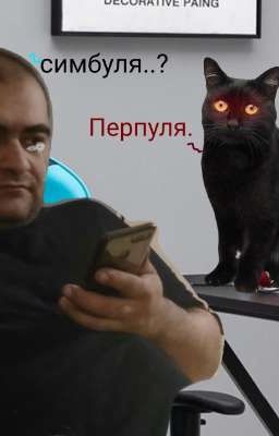 Симба - не просто кот.