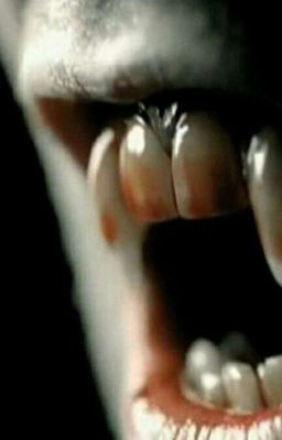 Каникулы с вампирами