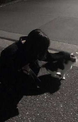 мы Братья Или?