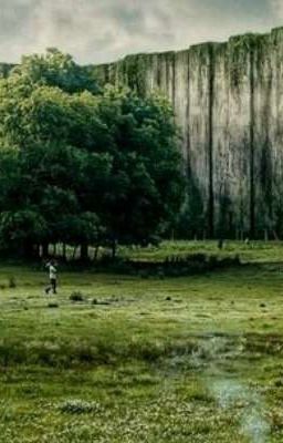 Ради любви❤