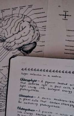 Психология👩🏼‍🔬💋