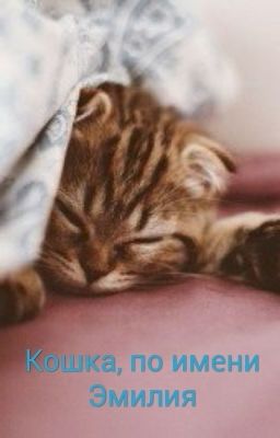 Кошка, по имени Эмилия