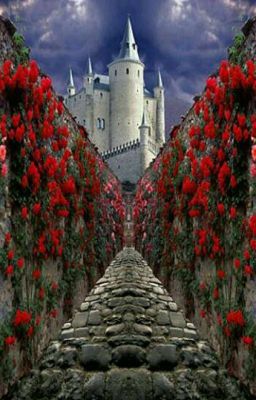 На жопу приключениям.