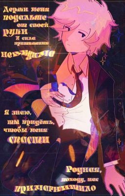 ☆Ꮪᴇnᴄhᴏus rᴇᴀᴄᴛiᴏn ᴛᴏ Ꭹ/N☆