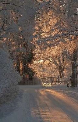 Школьная любовь 