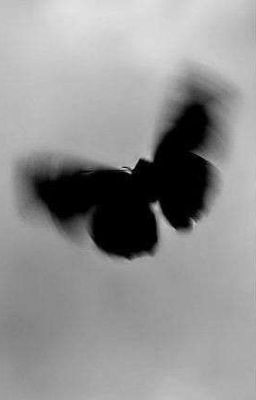 Ночная Фурия