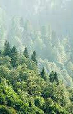 Искусство войны