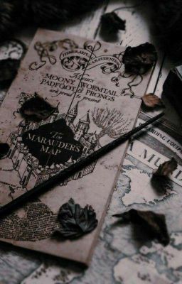 Гарри и Изабелла Поттер. Философский камень