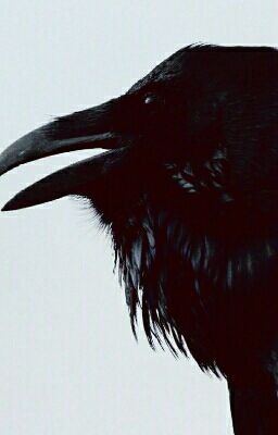 Бремя бога: Начало