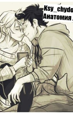 Анатомия любви