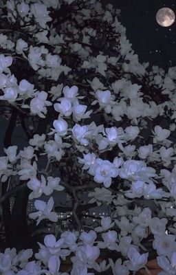 Малышка Альфы✨