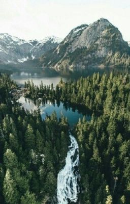 Дневник жизни