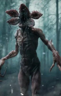 Волшебный лес