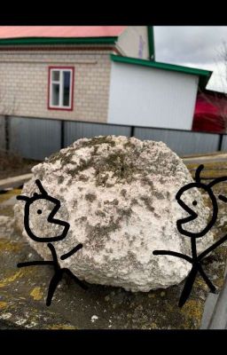 Приключения друзей