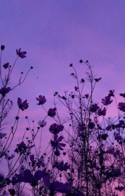 Малиновый рассвет.