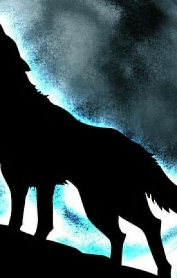 Академия Оборотней