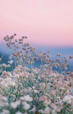 Переезд в Америку 😱