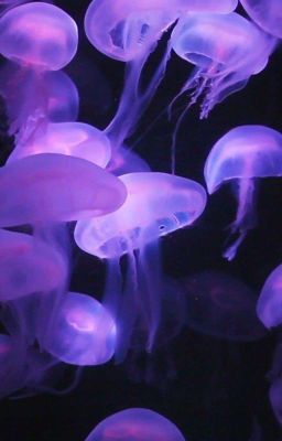 Где-то в Доме...