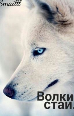 Волки стаи.