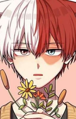 кошачье приключение