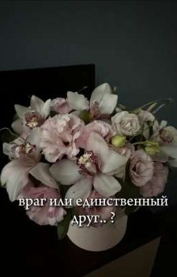 враг или единственный друг? 