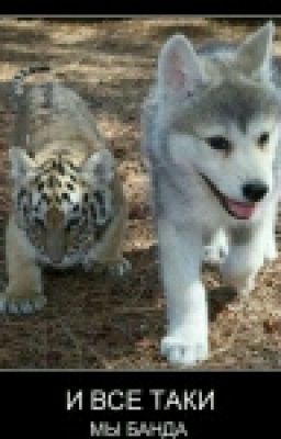 Людей защищают хищники